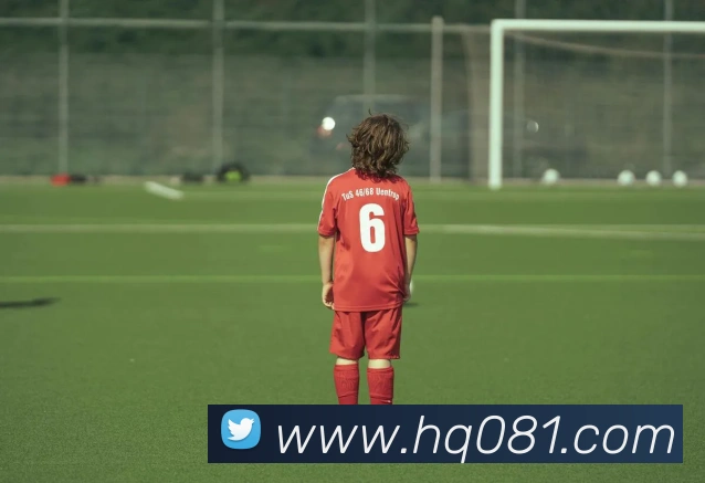 奖项证书